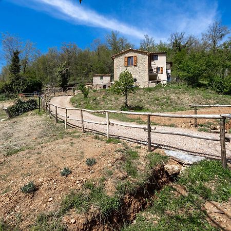 Podere Del Ciacchi Among Tuscany Greenery - Happy Rentals Montieri Exterior foto