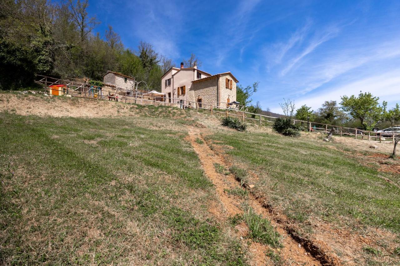 Podere Del Ciacchi Among Tuscany Greenery - Happy Rentals Montieri Exterior foto