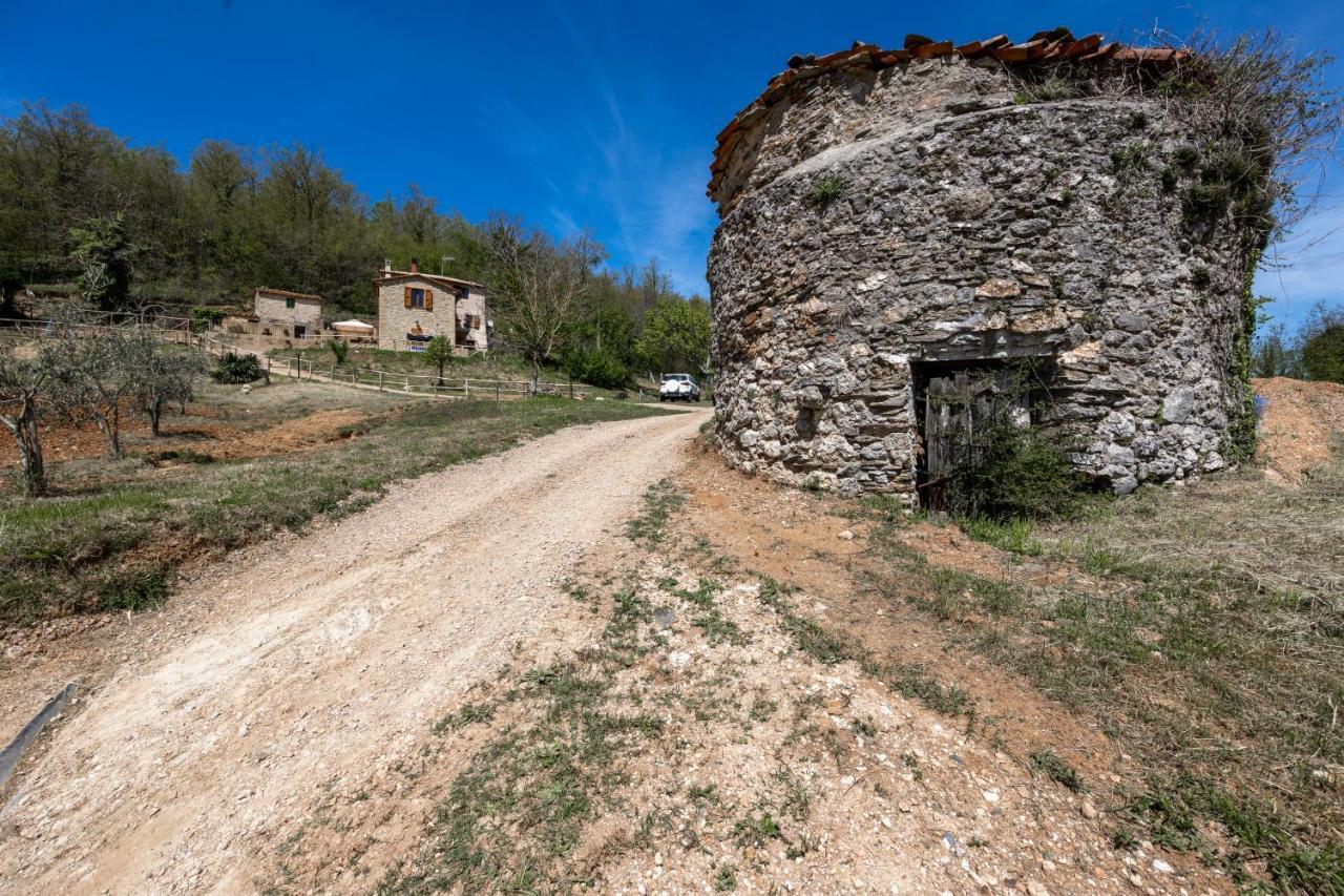 Podere Del Ciacchi Among Tuscany Greenery - Happy Rentals Montieri Exterior foto